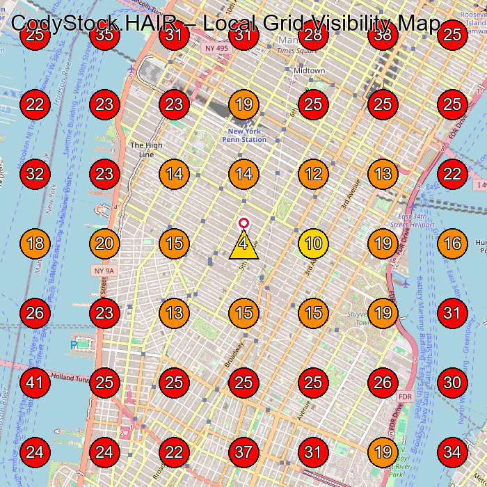 CodyStock.HAIR GeoGrid visibility map for Hair Salon in New York